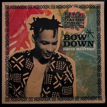 Album David Walters: Bow Down