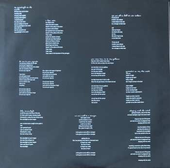 LP Dax Riggs: Say Goodnight To The World