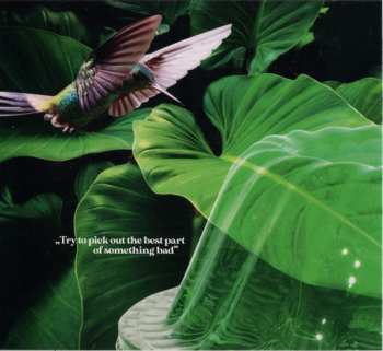 CD De-Phazz: Jelly Banquet