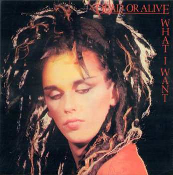 27CD/Coffret Dead Or Alive: Still Spinnin' - The Singles Collection 1983-2021 LTD