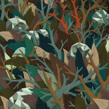 Album Dear Reader: We Followed Every Sound (Live With Deutsches Filmorchester Babelsberg)