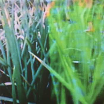 3LP Death In Vegas: Transmission