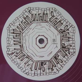 LP Deerhoof: Future Teenage Cave Artists LTD | CLR