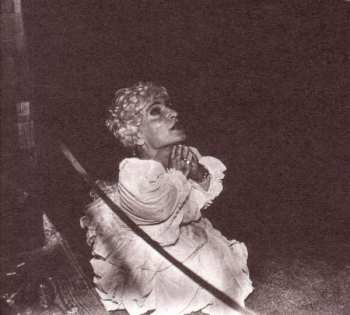 CD Deerhunter: Halcyon Digest