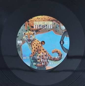 2LP Degiheugi: Degiheugi Orchestra