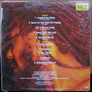 LP Dennis Brown: Temperature Rising