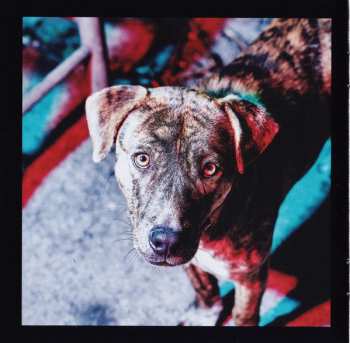 CD Denzel Curry: Imperial DIGI