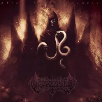 Afterlife In Darkness