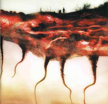 CD Devin Townsend: Terria