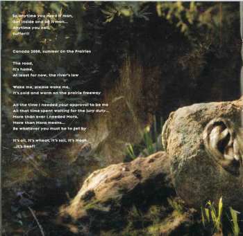 CD Devin Townsend: Terria