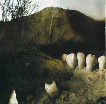 CD Devin Townsend: Terria