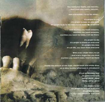 CD Devin Townsend: Terria
