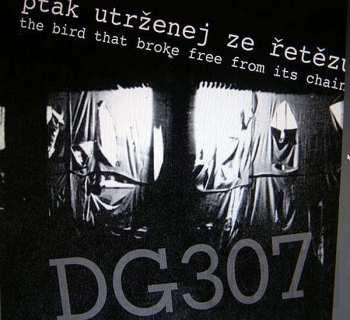 5CD/Coffret DG 307: Svědek Spálenýho Času (Witness To The Burnt Time)