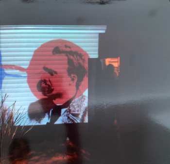 LP Dirty Projectors: Bitte Orca