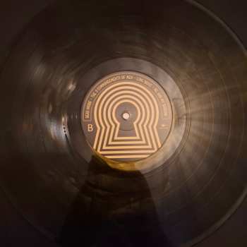 LP Dirty Sound Magnet: Me And My Shadow LTD