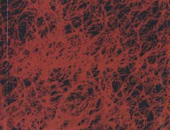 CD Disembodiment: Spiral Crypts