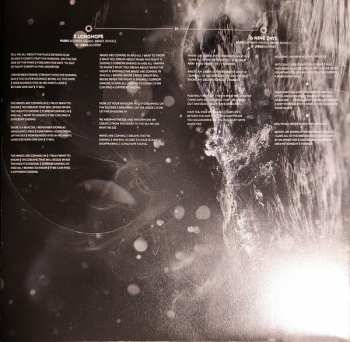 2LP Disillusion: Ayam CLR | LTD
