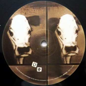 2LP Dixie Chicks: Home