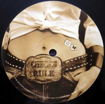 2LP Dixie Chicks: Home