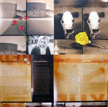 2LP Dixie Chicks: Home