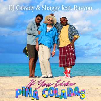 SP Shaggy: IF YOU LIKE PINA COLADAS