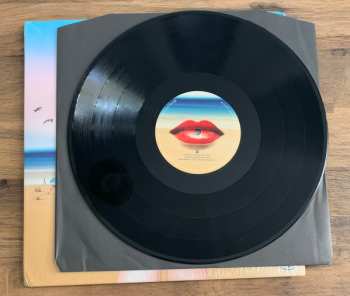 2LP DJ Pippi: Follow Your Dreams