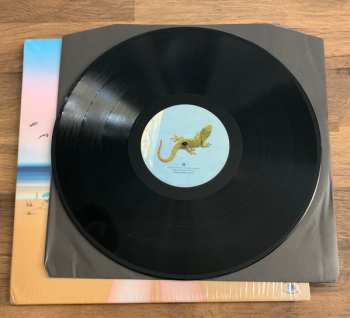 2LP DJ Pippi: Follow Your Dreams