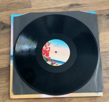 2LP DJ Pippi: Follow Your Dreams