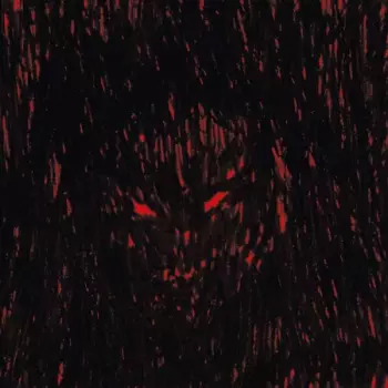 DJ Richard:  Dies Iræ Xerox