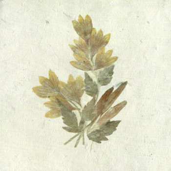 2LP Dominique A.: L'horizon