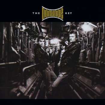 CD Dominoe: The Key