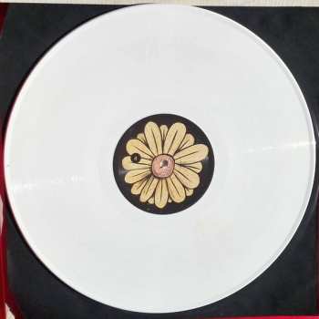 LP Don Antonio: Don Antonio NUM | LTD | CLR