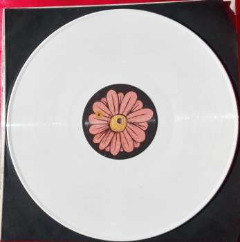 LP Don Antonio: Don Antonio NUM | LTD | CLR