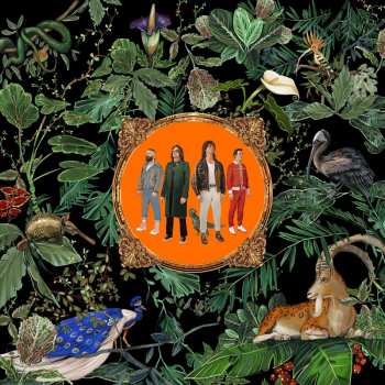 CD Don Broco: Amazing Things