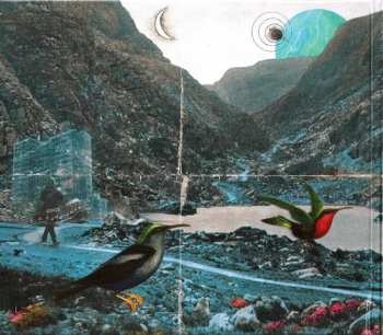 CD Don Cavalli: Temperamental