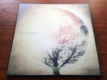 LP Doomina: Doomina LTD | CLR