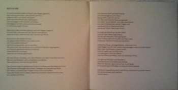 CD Dota Und Die Stadtpiraten: Das Große Leuchten