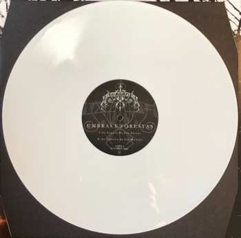 LP Downfall Of Nur: Umbras E Forestas