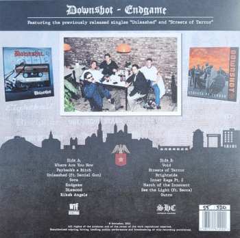 LP Downshot: Endgame LTD | NUM