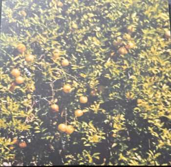 LP Drop Nineteens: Delaware CLR