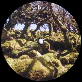 2LP Dub Dynasty: Holy Cow