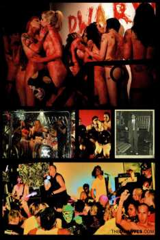 DVD Dwarves: FEFU - The DVD