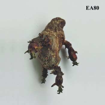 Album EA80: Single