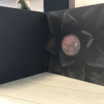 15LP/Coffret Eagles: Legacy The Eagles