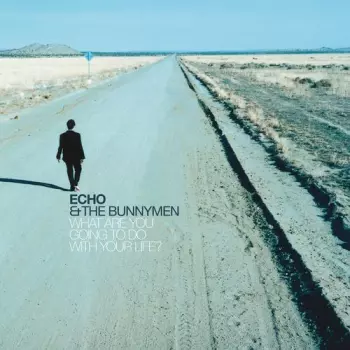 Echo & The Bunnymen: What Are You Going to Do With Your Life?