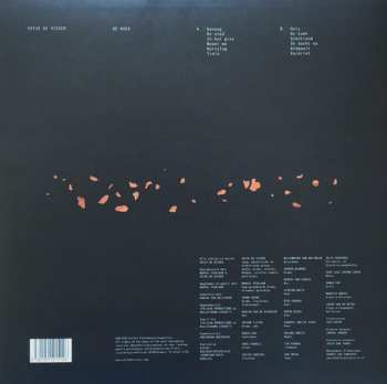 LP Eefje de Visser: De Koek