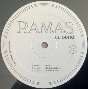 2LP El Buho: Ramas