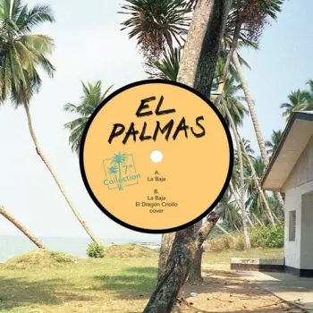 El Palmas: Baja