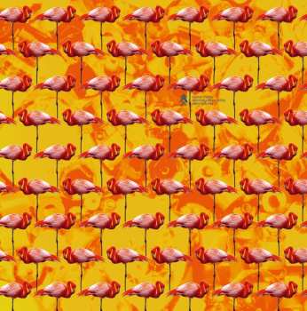 Album Elephant Château: Dreamings & Offshore Drilling – Pearls And Turtles