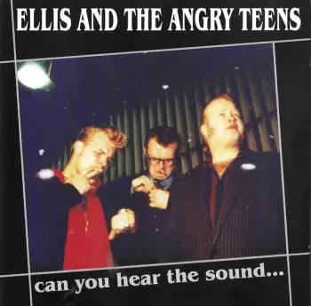 Ellis And The Angry Teens: Can You Hear The Sound...